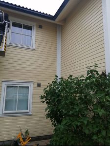 Facade painting (14)