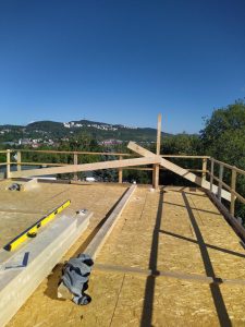 Roofs (10)
