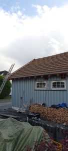 Roofs (2)